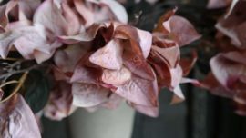 Bougainvillea dried zijden bloem | roze