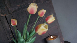 Tulp geel /fuchia | 1 bloem