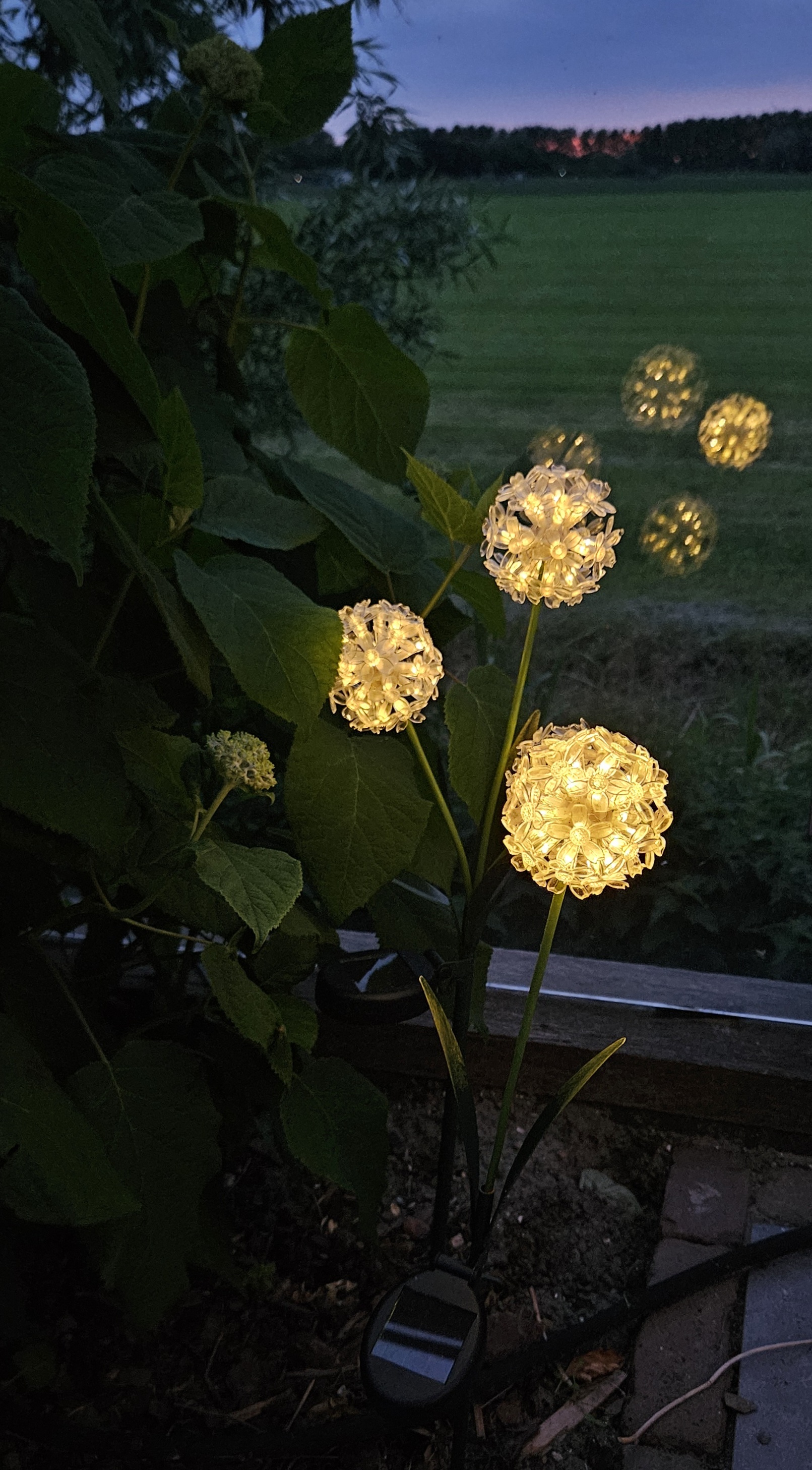 Solar Bloem op steker | wit 1 bloem