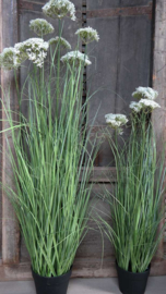 Achillea/schermbloem plant namaak wit | S