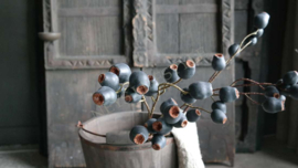 Bessen tak blauw/paars | 72 cm