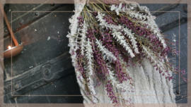 Bosje kunst droogbloemen | lavendel