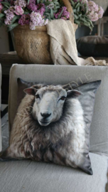 Kussen velvet | schaap