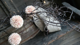 Pom pom tak kunst | champagne