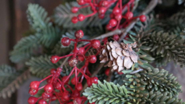 Bessen/ilex tak kunst | rood