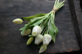 Bosje tulpen kunst 31 cm | créme
