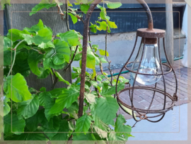 Solar buitenlamp tuinsteker boog | roest