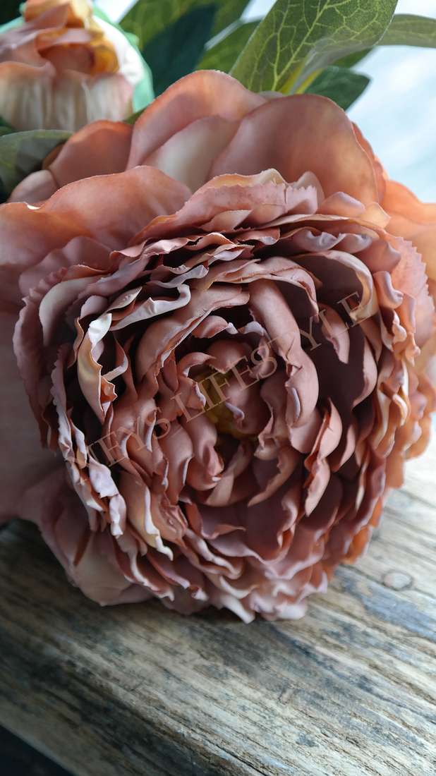 Pioenroos kunst bloem | coffee