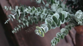 Eucalyptus bosje kunst | groen/grijs 53 cm