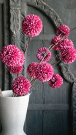 Pom pom tak kunst | paars