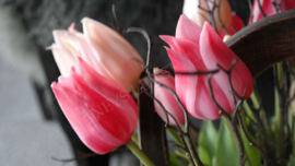 Tulp in bloei kunst 45 cm | donkerroze