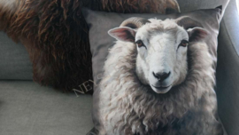 Kussen velvet | schaap