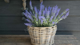 Lavendel namaak | UV bestendig