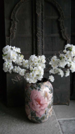 Vaas Peony | XL