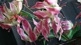 Gloriosa bloem kunst roze | 89 cm