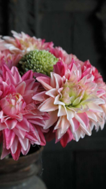 Boeket zijden kant en klaar | Dahlia