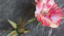 Cosmos namaak bloem | oranje/roze