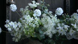 Gipskruid bloem kunst | groen