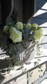 Ceropegia hangplant namaak | UV bestendig