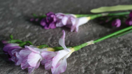 Freesia bloem namaak | roze 83 cm