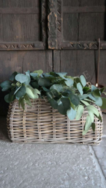 Plantenmand rotan | M