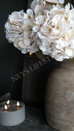 Hortensia zijden bloem | beige