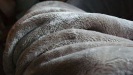 Plaid winter |  chateau grey