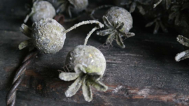 Rozenbottel tak namaak XL | bruin-groen