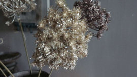 Berenklauw tak namaak 60 cm | goud glitter