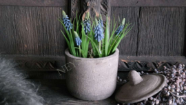 Aardewerk pot met deksel | old barn