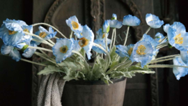 Cosmea bloem zijden | blauw
