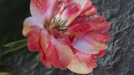 Cosmos namaak bloem | oranje/roze