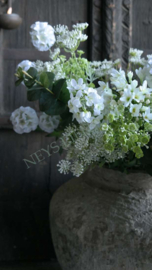 Wildwortel /fluitekruid kunst bloem | wit