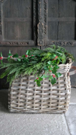 Plantenmand rotan hengsel  | M