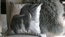 Kussen velvet | paarden