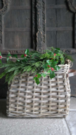 Plantenmand rotan hengsel  | M