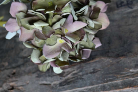 Hortensia zijden bloem | groen
