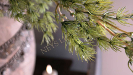 Asparagus tak real touch | 100 cm