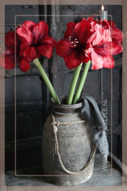 Amaryllis kunst bloem  | rood 66 cm