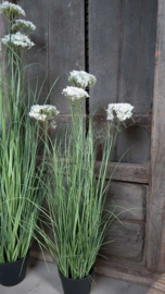 Achillea/schermbloem plant namaak wit | S