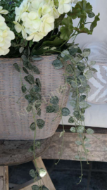 Pot opgemaakt met geraniums compleet | UV bestendig