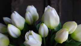 Bosje tulpen kunst 28 cm | wit