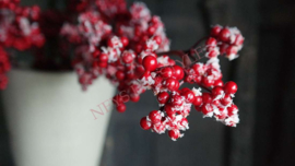 Bessen sneeuw namaak tak | rood