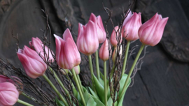 Tulp in bloei kunst 45 cm | roze