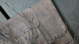 Wandpaneel pot Nepal oud hout | M