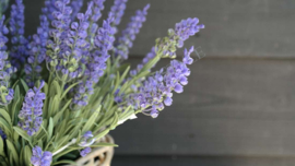 Lavendel namaak | UV bestendig