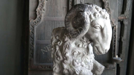 Ornament ramskop | grey
