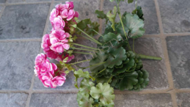 Geranium plant namaak UV bestendig| roze