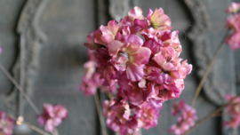 Prunus kunst bloem | paars