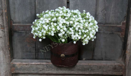 Gipskruid bosje wit | 30 cm